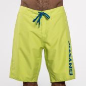 Brand Boardshort 21.5